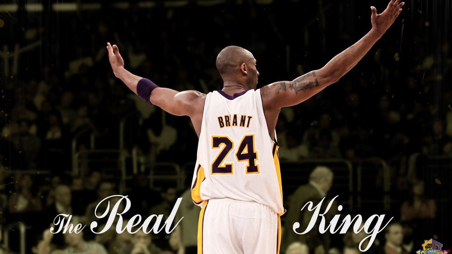 快船队保持强劲状态，冲击更高排名，快船队的阵容